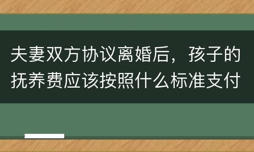 夫妻双方协议离婚后，孩子的抚养费应该按照什么标准支付