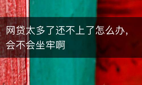 网贷太多了还不上了怎么办，会不会坐牢啊