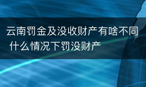 云南罚金及没收财产有啥不同 什么情况下罚没财产