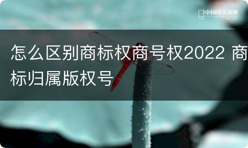 怎么区别商标权商号权2022 商标归属版权号