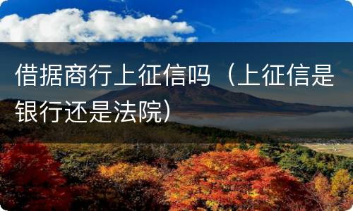借据商行上征信吗（上征信是银行还是法院）