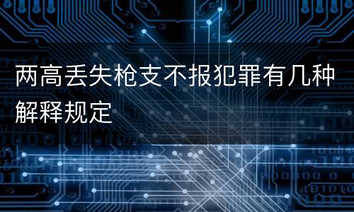 两高丢失枪支不报犯罪有几种解释规定