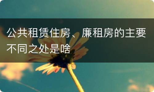 公共租赁住房、廉租房的主要不同之处是啥