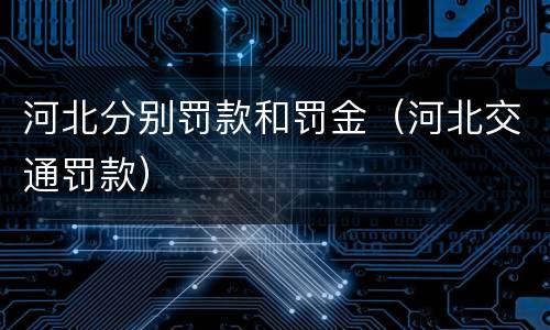 河北分别罚款和罚金（河北交通罚款）