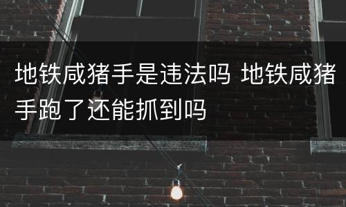 地铁咸猪手是违法吗 地铁咸猪手跑了还能抓到吗