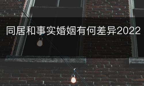 同居和事实婚姻有何差异2022