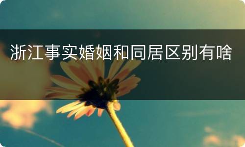 浙江事实婚姻和同居区别有啥