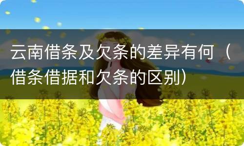 云南借条及欠条的差异有何（借条借据和欠条的区别）