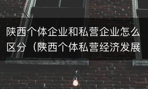 陕西个体企业和私营企业怎么区分（陕西个体私营经济发展综合服务平台）