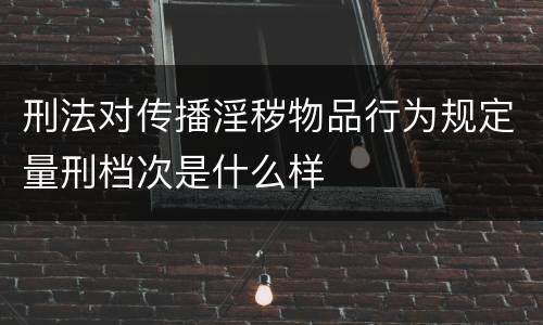 刑法对传播淫秽物品行为规定量刑档次是什么样
