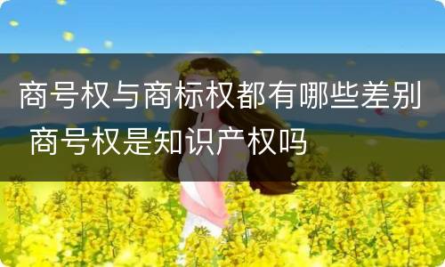 商号权与商标权都有哪些差别 商号权是知识产权吗