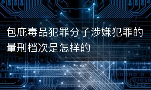 包庇毒品犯罪分子涉嫌犯罪的量刑档次是怎样的