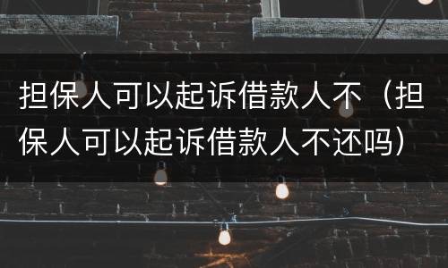 担保人可以起诉借款人不（担保人可以起诉借款人不还吗）