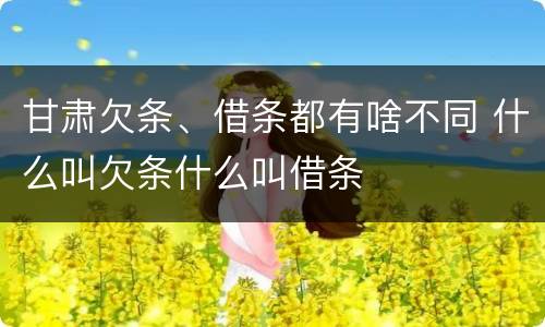 甘肃欠条、借条都有啥不同 什么叫欠条什么叫借条