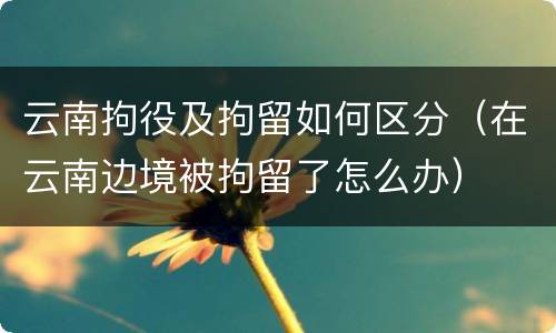 云南拘役及拘留如何区分（在云南边境被拘留了怎么办）