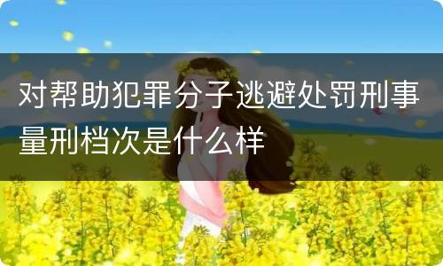 对帮助犯罪分子逃避处罚刑事量刑档次是什么样