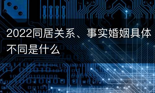 2022同居关系、事实婚姻具体不同是什么