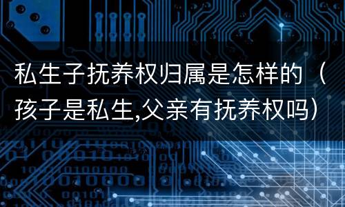 私生子抚养权归属是怎样的（孩子是私生,父亲有抚养权吗）