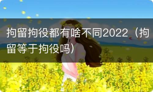 拘留拘役都有啥不同2022（拘留等于拘役吗）