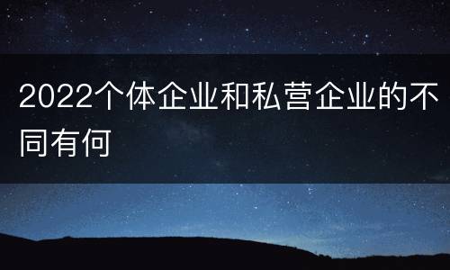 2022个体企业和私营企业的不同有何