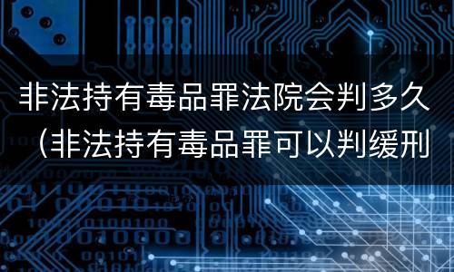 非法持有毒品罪法院会判多久（非法持有毒品罪可以判缓刑吗）