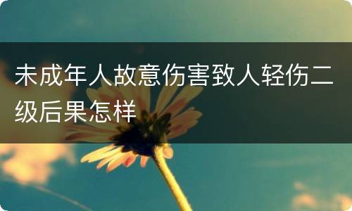未成年人故意伤害致人轻伤二级后果怎样