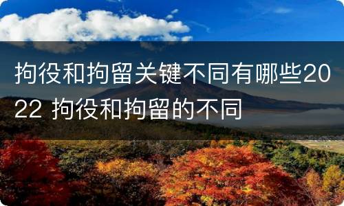 拘役和拘留关键不同有哪些2022 拘役和拘留的不同