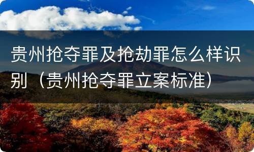 贵州抢夺罪及抢劫罪怎么样识别（贵州抢夺罪立案标准）