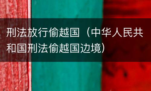 刑法放行偷越国（中华人民共和国刑法偷越国边境）