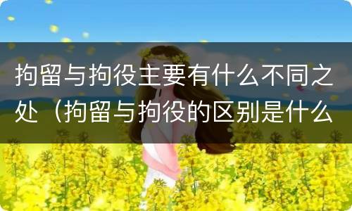 拘留与拘役主要有什么不同之处（拘留与拘役的区别是什么）