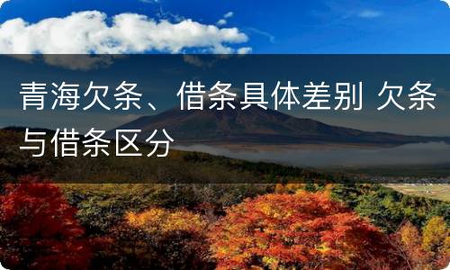 青海欠条、借条具体差别 欠条与借条区分