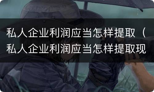 私人企业利润应当怎样提取（私人企业利润应当怎样提取现金）