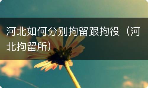 河北如何分别拘留跟拘役（河北拘留所）