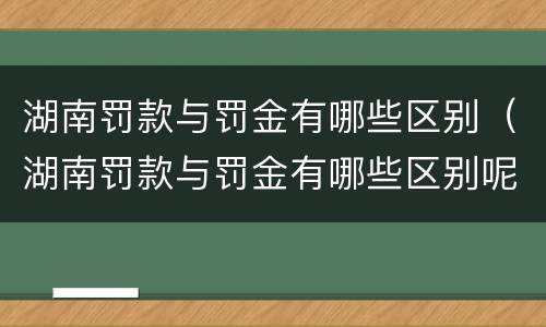 湖南罚款与罚金有哪些区别（湖南罚款与罚金有哪些区别呢）