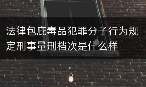 法律包庇毒品犯罪分子行为规定刑事量刑档次是什么样