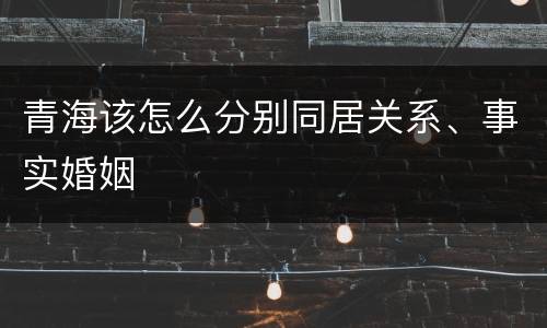 青海该怎么分别同居关系、事实婚姻