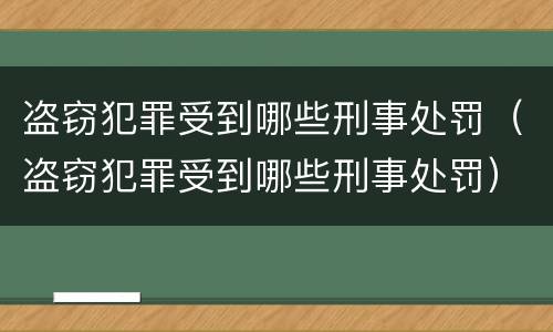 盗窃犯罪受到哪些刑事处罚（盗窃犯罪受到哪些刑事处罚）