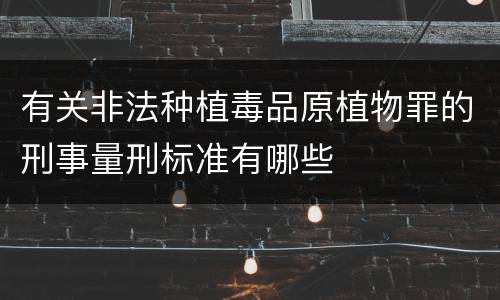 有关非法种植毒品原植物罪的刑事量刑标准有哪些