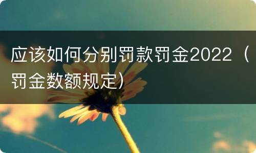 应该如何分别罚款罚金2022（罚金数额规定）