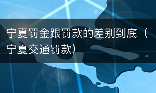 宁夏罚金跟罚款的差别到底（宁夏交通罚款）