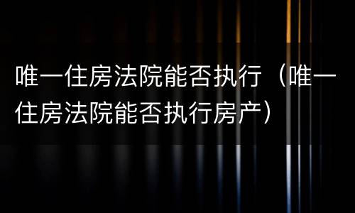 唯一住房法院能否执行（唯一住房法院能否执行房产）