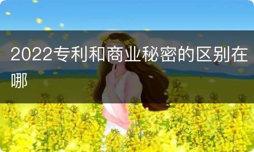 2022专利和商业秘密的区别在哪