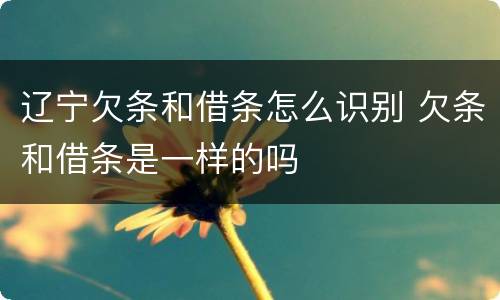 辽宁欠条和借条怎么识别 欠条和借条是一样的吗