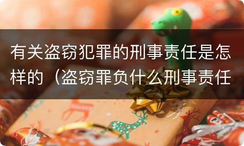 有关盗窃犯罪的刑事责任是怎样的（盗窃罪负什么刑事责任）
