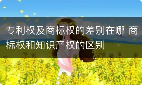 专利权及商标权的差别在哪 商标权和知识产权的区别