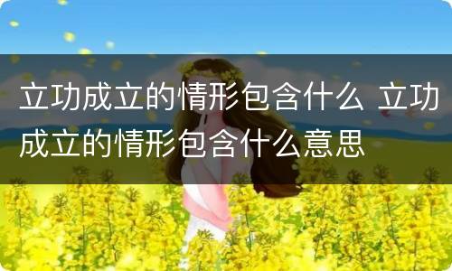 立功成立的情形包含什么 立功成立的情形包含什么意思