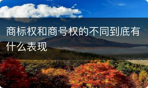 商标权和商号权的不同到底有什么表现