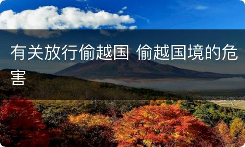 有关放行偷越国 偷越国境的危害