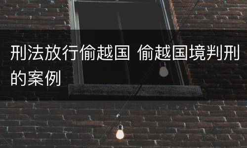 刑法放行偷越国 偷越国境判刑的案例