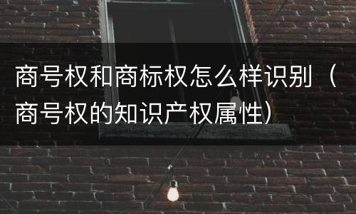 商号权和商标权怎么样识别（商号权的知识产权属性）